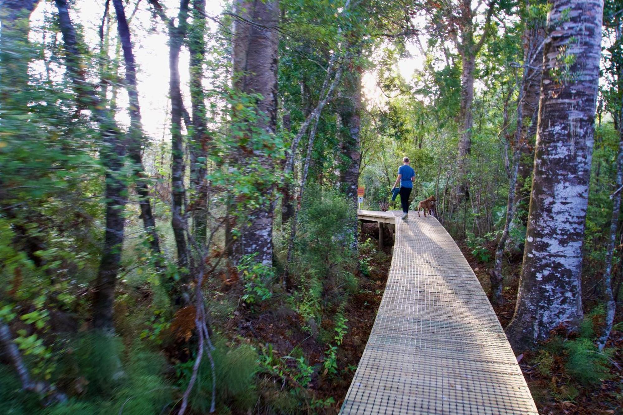Sapphire Springs Holiday Park And Thermal Pools Katikati Exterior photo
